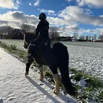 Ostseebauernhof Schoenhagen Appartamento *