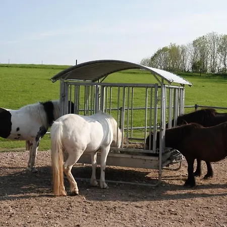 Appartamento Ostseebauernhof Schoenhagen Brodersby (Schwansen)
