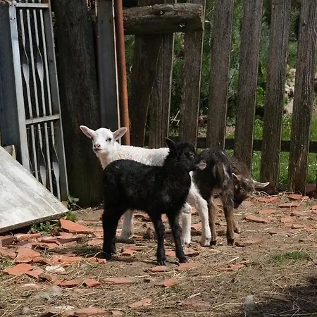 Appartamento Ostseebauernhof Schoenhagen