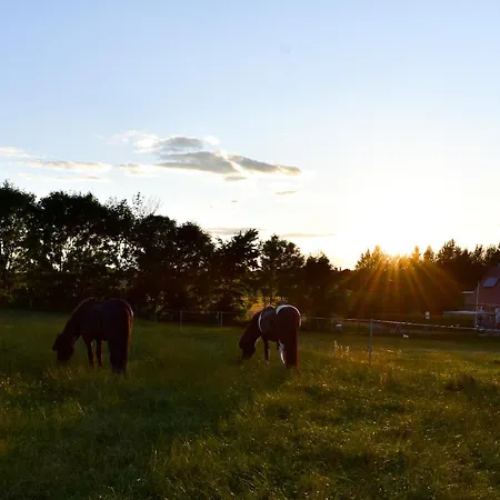 Ostseebauernhof Schoenhagen Appartamento Brodersby (Schwansen)