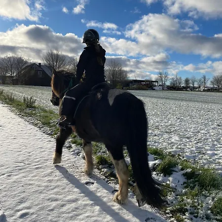 Ostseebauernhof Schoenhagen Appartamento *