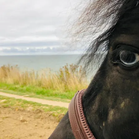 Ostseebauernhof Schoenhagen Brodersby (Schwansen)