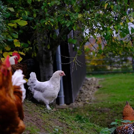 Ostseebauernhof Schoenhagen Appartamento Brodersby (Schwansen)