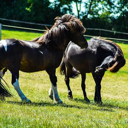Ostseebauernhof Schoenhagen Appartamento