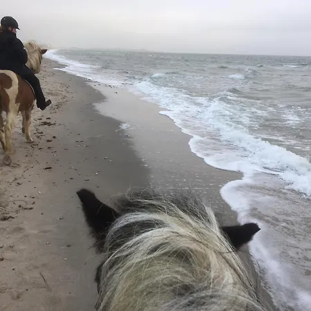 Lejlighed Ostseebauernhof Schoenhagen *